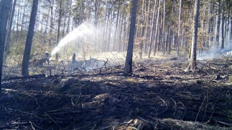 30.3.2021 - Požár lesau obce Pnětluky (3)