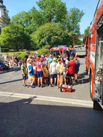 2b7ac9b8-9340-4510-81b9-2c88a1edda40.jfif