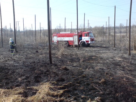 Požár trávy mezi Jimlínem a Opočnem (2).JPG