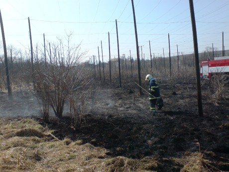Požár trávy mezi Jimlínem a Opočnem (1).JPG