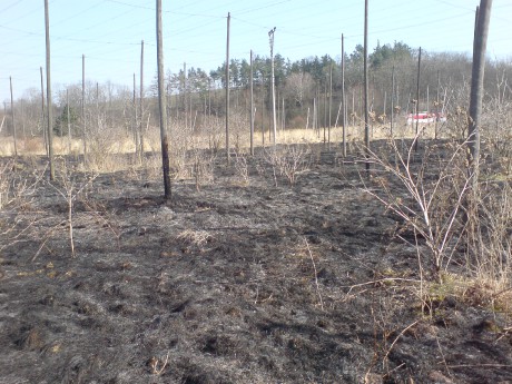 Požár trávy mezi Jimlínem a Opočnem (7).JPG